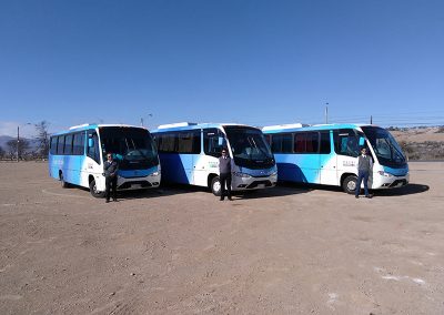 Buses Pallauta