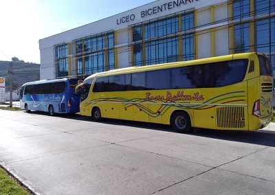 Buses Pallauta