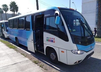 Buses Pallauta